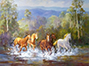 Brumbies